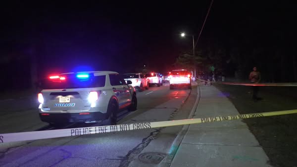 Read more about the article Woman Fatally Shot by ICE Officer in Minneapolis Identified by Family and City Leaders